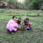 वृक्षारोपण